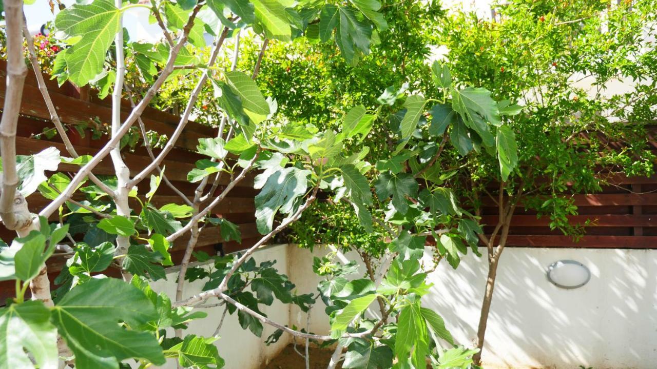 Villa Nova Protaras Dış mekan fotoğraf